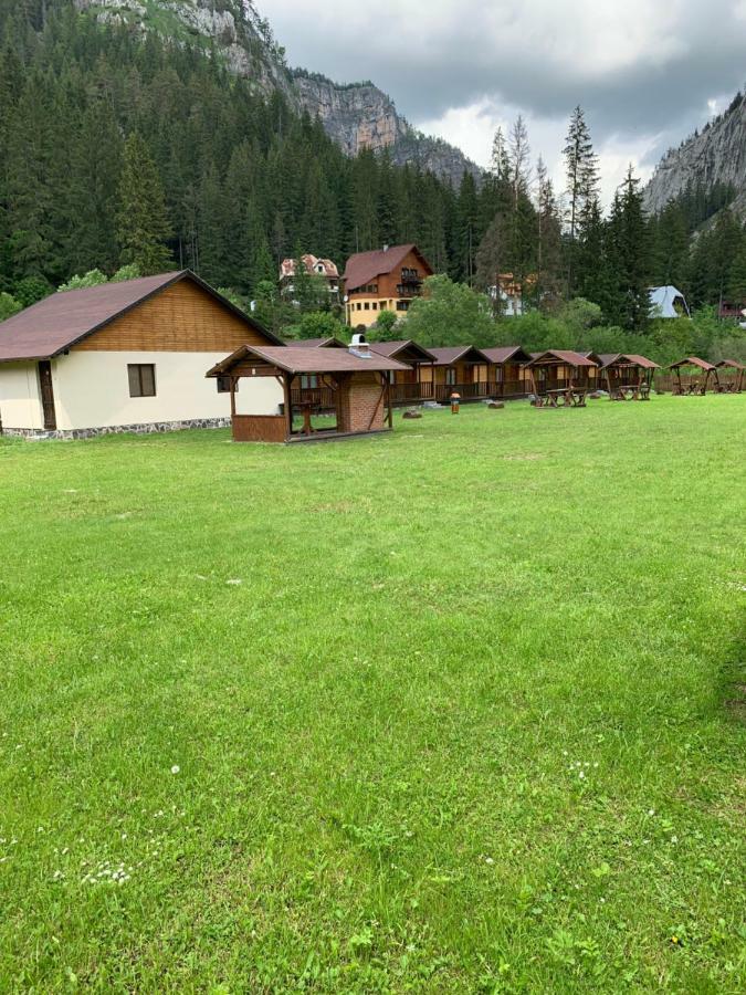 Casutele Suhardul Mic Villa Lacu Rosu Exteriör bild